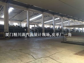 精川蒸汽流量计 与大型皮革厂多次合作的品质之选